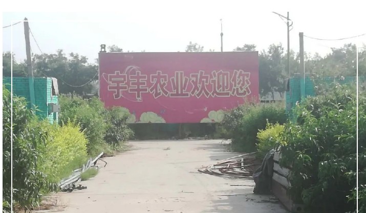 建一個市場、興一方產業、富一方百姓，孝義農產品大市場產供銷一體化在行動！